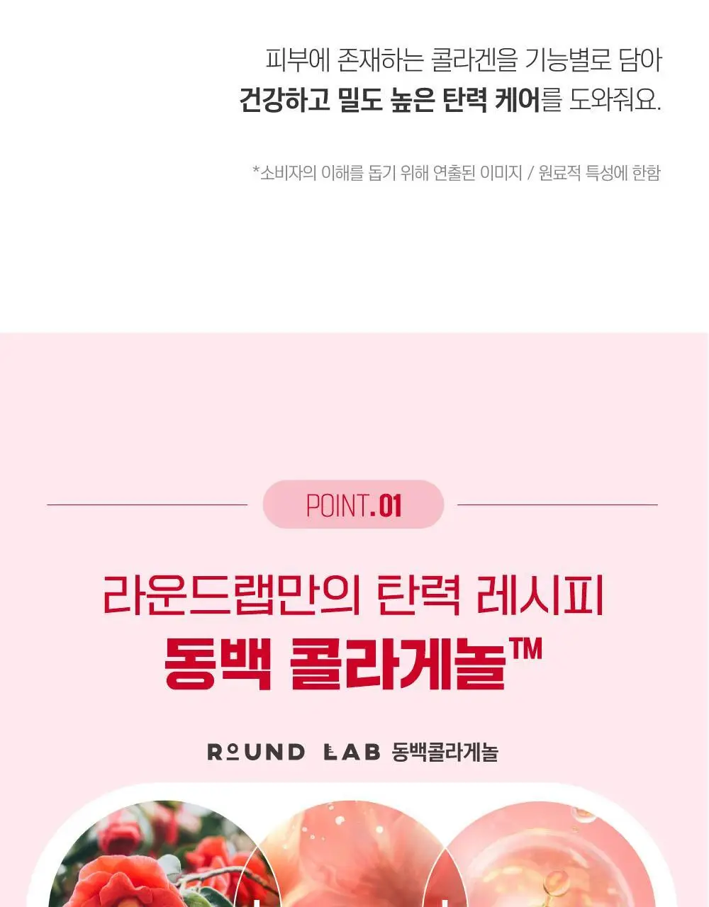 [10층탄력] 라운드랩 동백 딥 콜라겐 탄력 크림 50ml 기획 (+10ml) 상세페이지 29